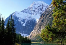 世预赛排行榜是如何影响球队晋级之路的？