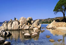 哪里能找到皇马对阵马竞的欧冠决赛视频？这场对决有哪些经典瞬间值得回味？